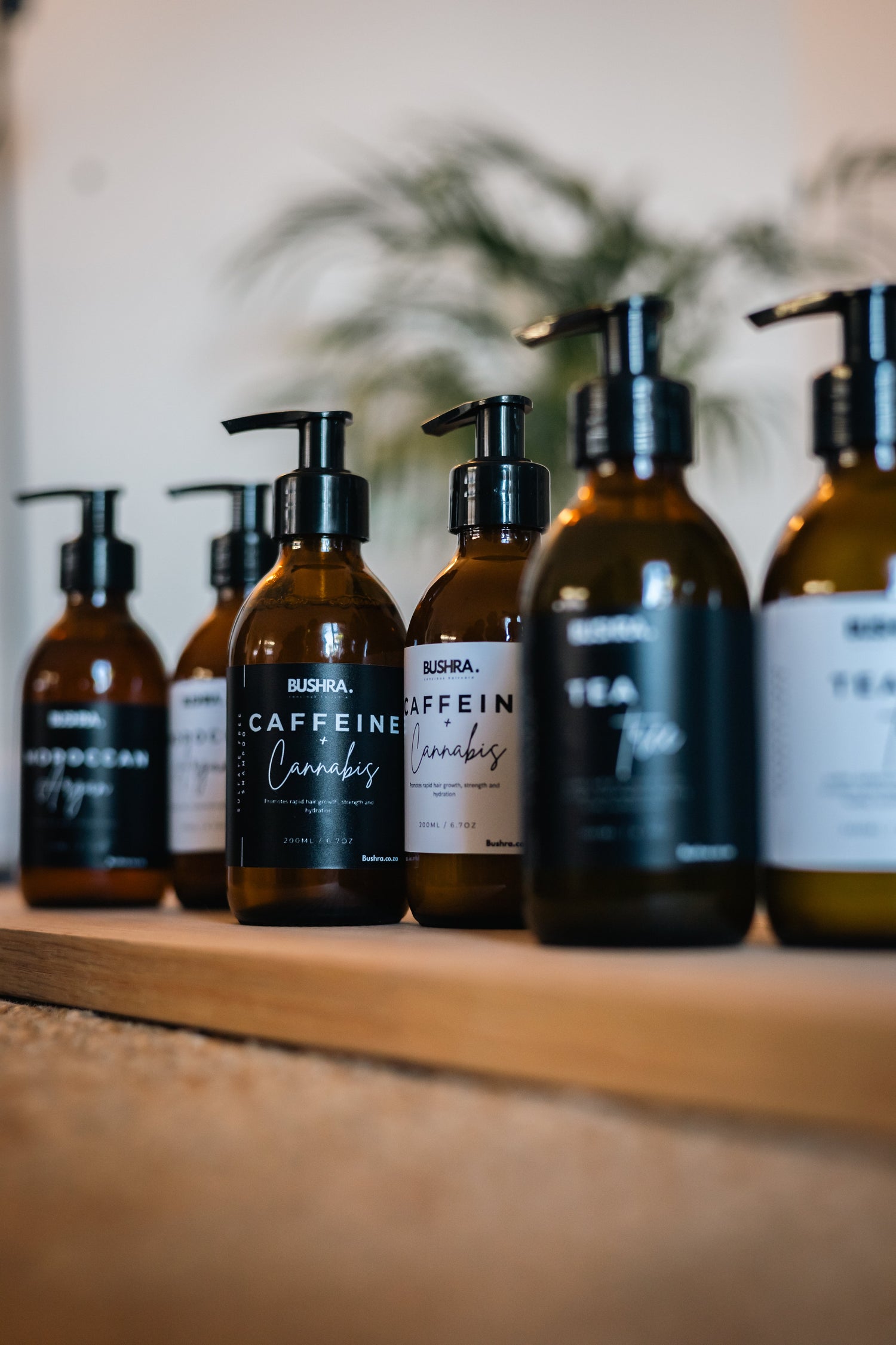 Shampoo & Conditioner Collection